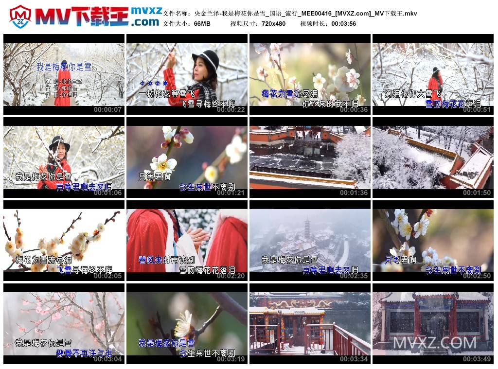 央金兰泽-我是梅花你是雪_国语_流行_MEE00416